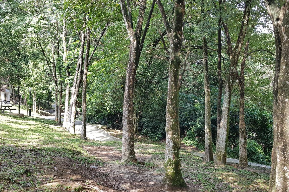 Bukit Jalil trails