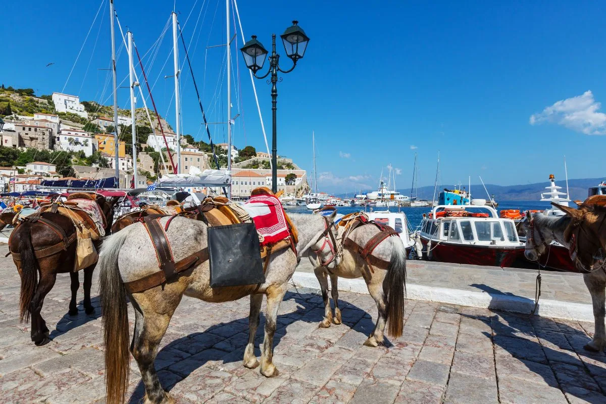 horses at the port of Hydra, Greece | Ways to slow travel