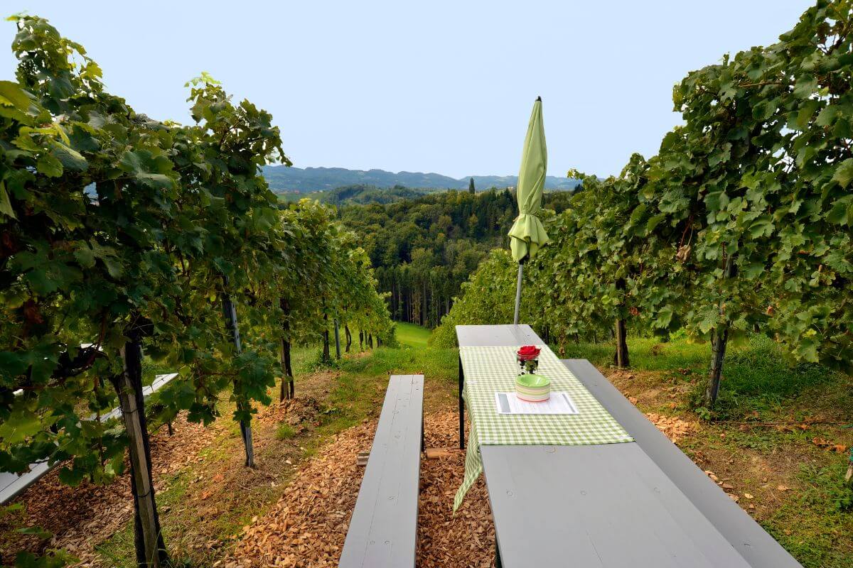 Week 1: Custom Tours in Southe­rn Austria