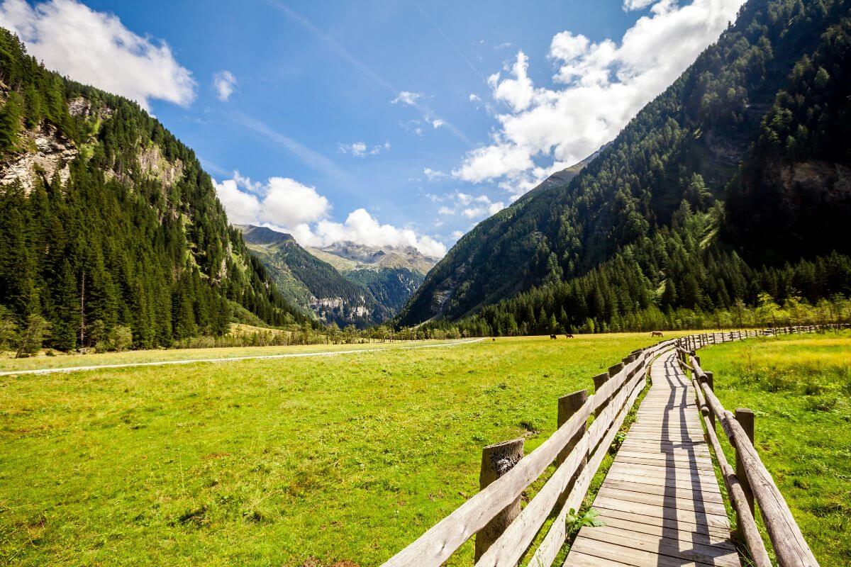 Hiking through the Scenic Alpines