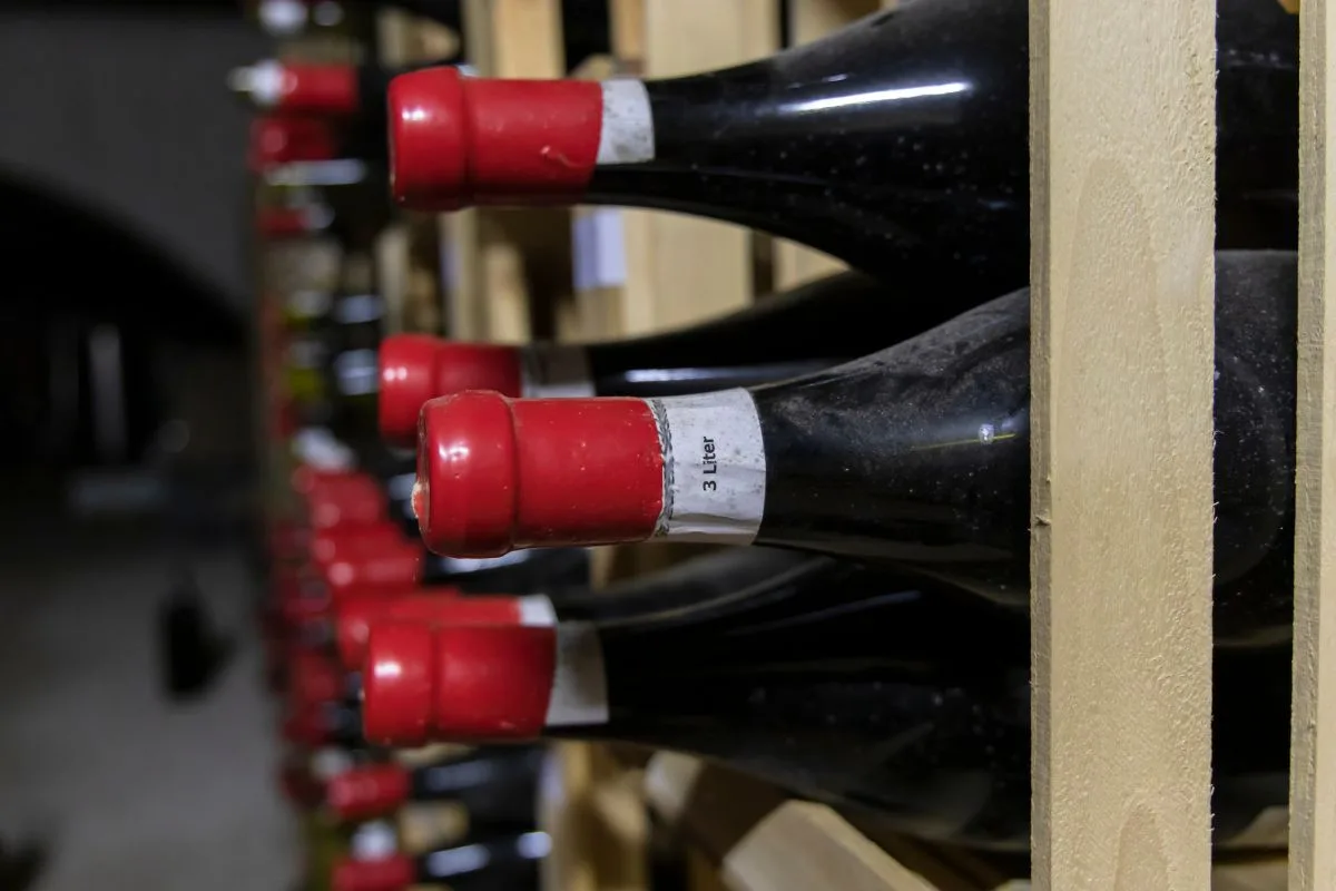 Wine Tasting in Lowe­r Austria