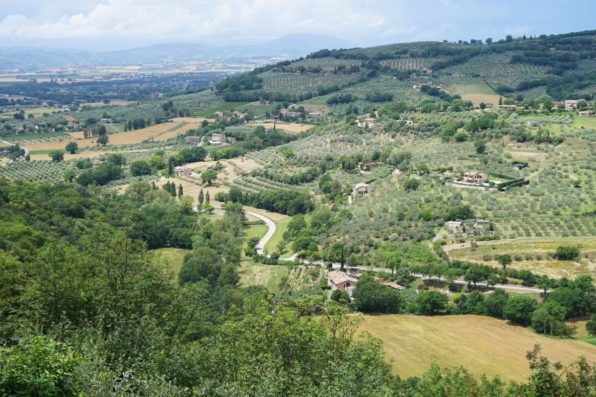 Italy countryside with olive groves hills, Umbria, Assisi, Italy⁠
