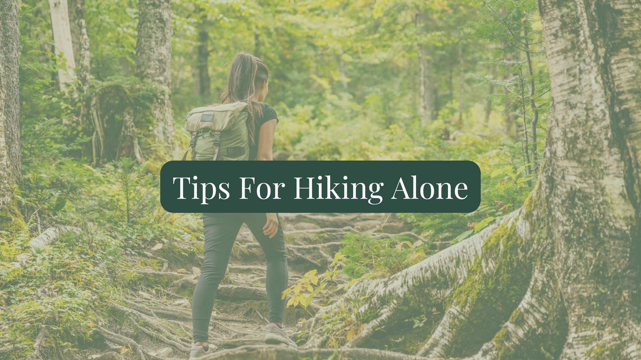 Hiking Alone? These Safety Tips Help You Stay Safe